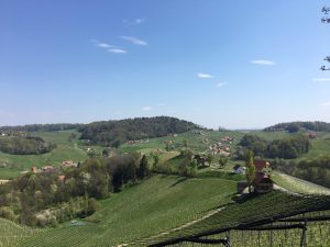 kleine hotels steiermark